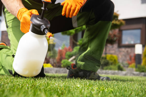 Best Bed Bug Extermination  in Applewood, CO
