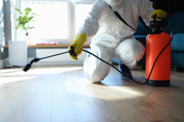 Best Flea Control Services  in Applewood, CO