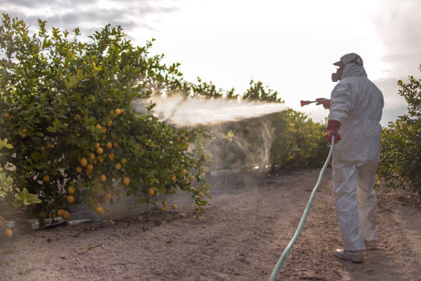 Best Exterminator Services  in Applewood, CO