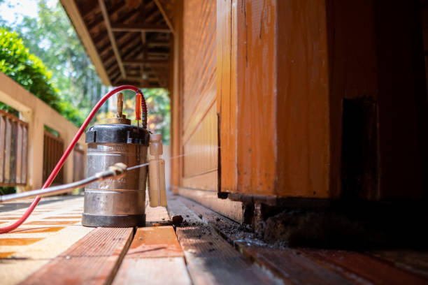 Best Mosquito Control Services  in Applewood, CO