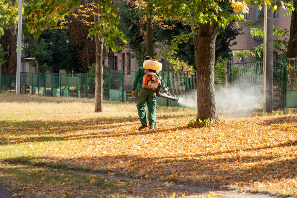 Pest Control Cost in Applewood, CO