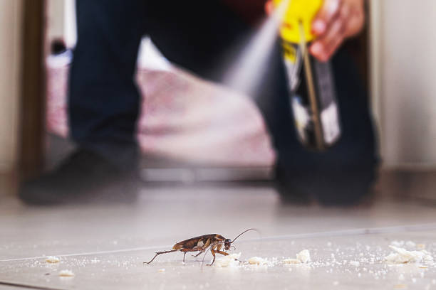 Trusted Applewood, CO Pest Control Experts